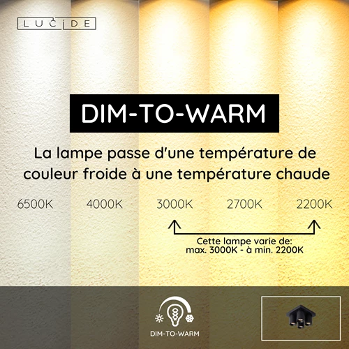 Lucide NIGEL - Spot plafond - LED Dim to warm - GU10 - 4x5W 2200K/3000K - Noir - USP